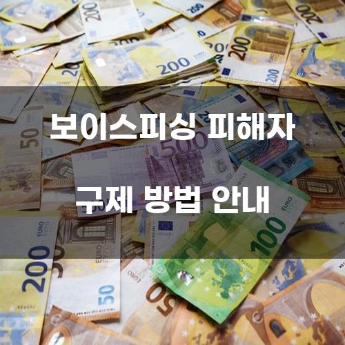 보이스피싱 피해자 구제 방법 안내
