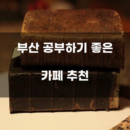 부산 공부하기 좋은 카페 추천