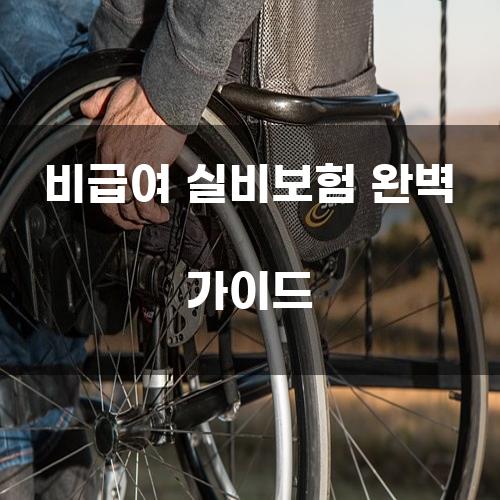 비급여 실비보험 완벽 가이드