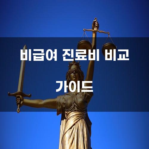 비급여 진료비 비교 가이드