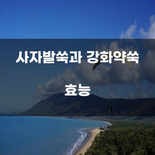사자발쑥과 강화약쑥 효능