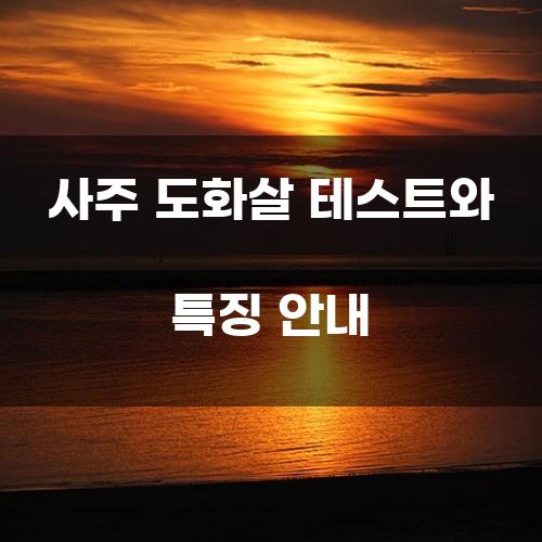 사주 도화살 테스트와 특징 안내