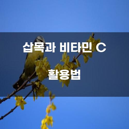 삽목과 비타민 C 활용법
