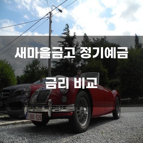 새마을금고 정기예금 금리 비교