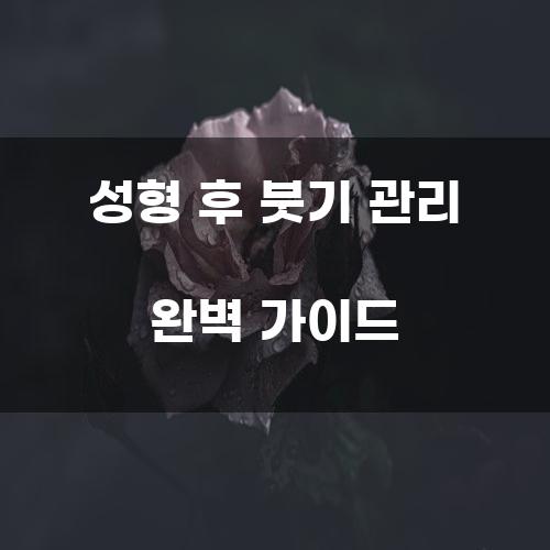 성형 후 붓기 관리 완벽 가이드