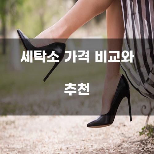 세탁소 가격 비교와 추천