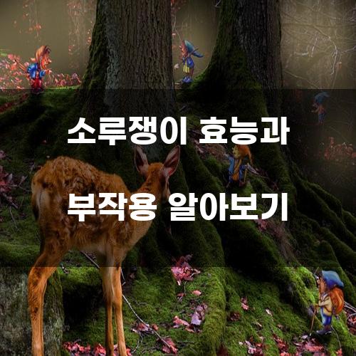 소루쟁이 효능과 부작용 알아보기