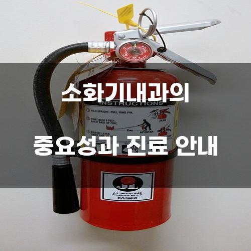 소화기내과의 중요성과 진료 안내