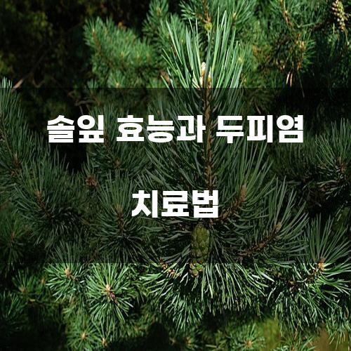 솔잎 효능과 두피염 치료법