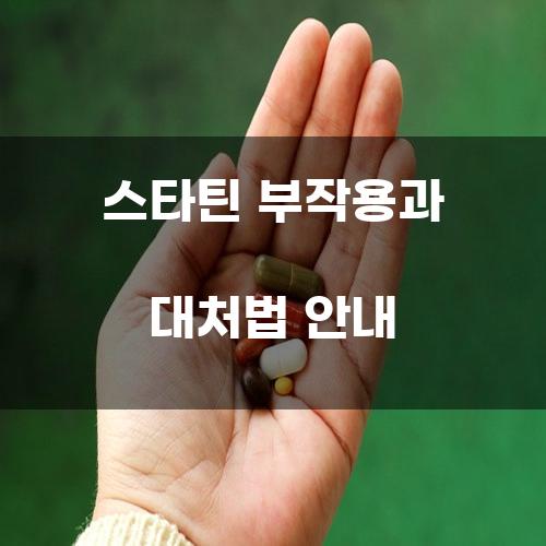 스타틴 부작용과 대처법 안내