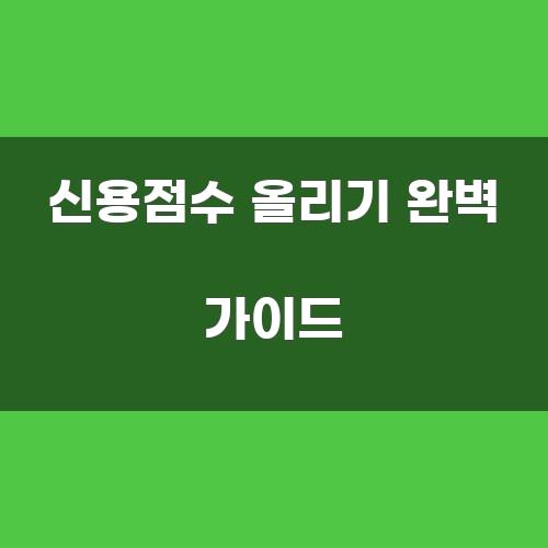 신용점수 올리기 완벽 가이드