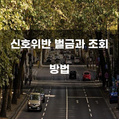 신호위반 벌금과 조회 방법
