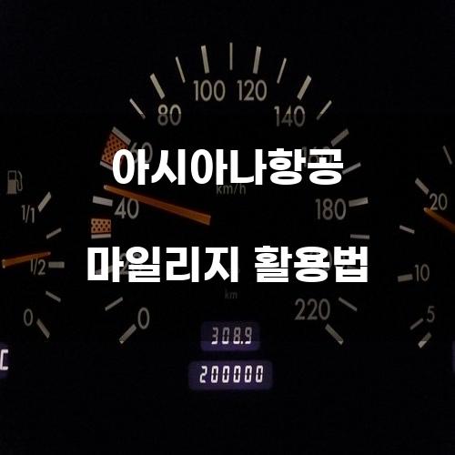 아시아나항공 마일리지 활용법