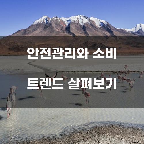 안전관리와 소비 트렌드 살펴보기