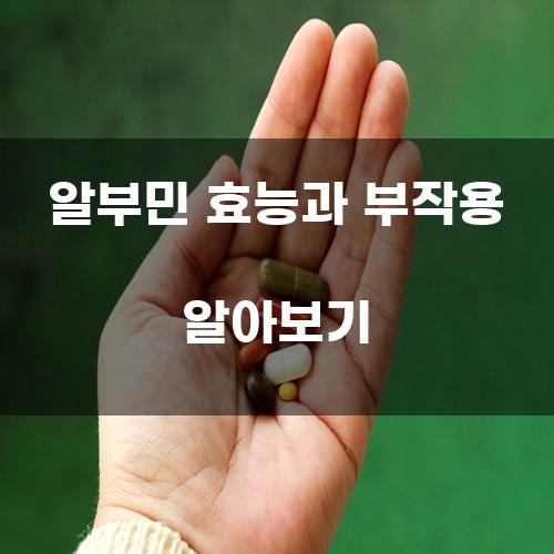 알부민 효능과 부작용 알아보기