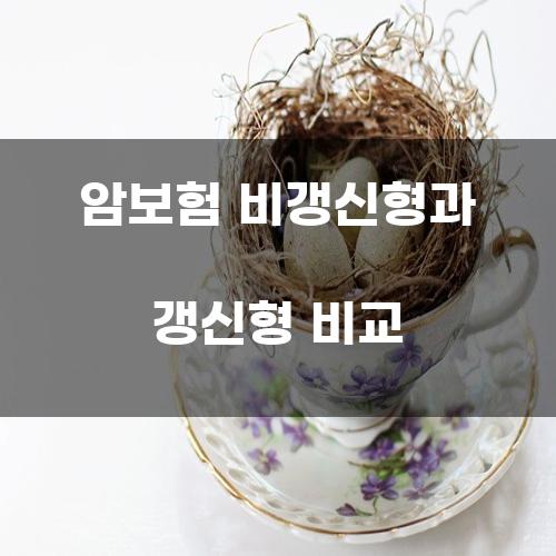 암보험 비갱신형과 갱신형 비교