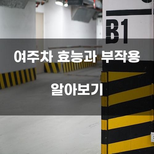 여주차 효능과 부작용 알아보기