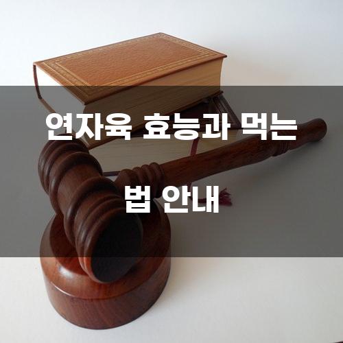 연자육 효능과 먹는 법 안내