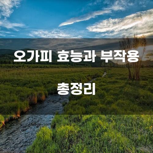 오가피 효능과 부작용 총정리