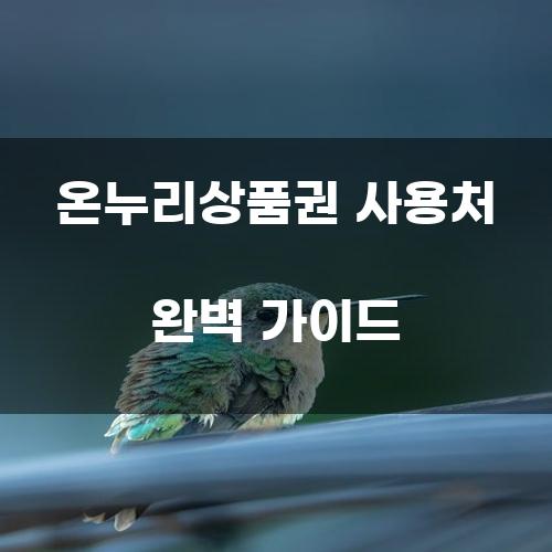 온누리상품권 사용처 완벽 가이드