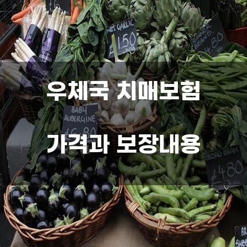 우체국 치매보험 가격과 보장내용
