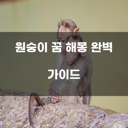 원숭이 꿈 해몽 완벽 가이드