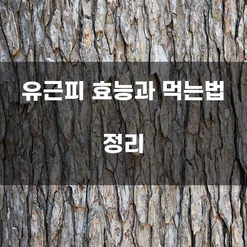 유근피 효능과 먹는법 정리