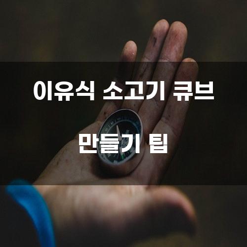 이유식 소고기 큐브 만들기 팁