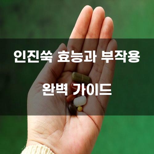 인진쑥 효능과 부작용 완벽 가이드
