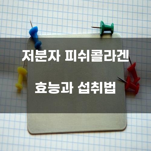 저분자 피쉬콜라겐 효능과 섭취법