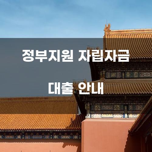 정부지원 자립자금 대출 안내