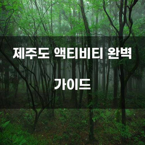 제주도 액티비티 완벽 가이드
