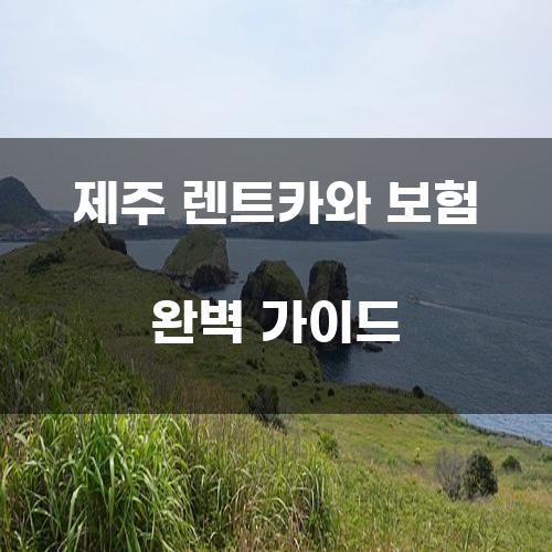 제주 렌트카와 보험 완벽 가이드