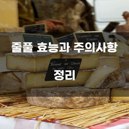 줄풀 효능과 주의사항 정리