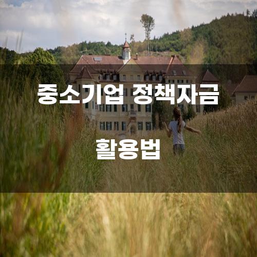 중소기업 정책자금 활용법