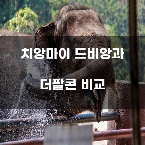 치앙마이 드비앙과 더팔콘 비교