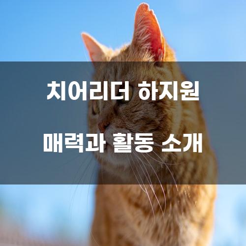 치어리더 하지원 매력과 활동 소개