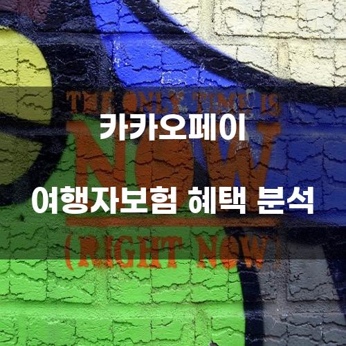 카카오페이 여행자보험 혜택 분석