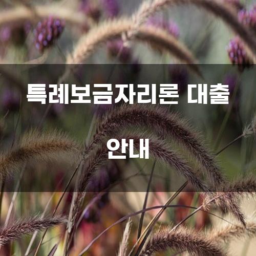 특례보금자리론 대출 안내