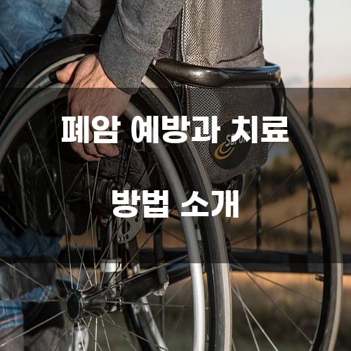 폐암 예방과 치료 방법 소개