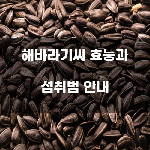 해바라기씨 효능과 섭취법 안내