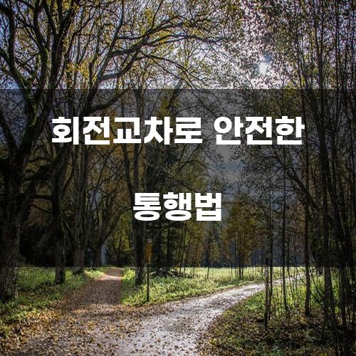 회전교차로 안전한 통행법