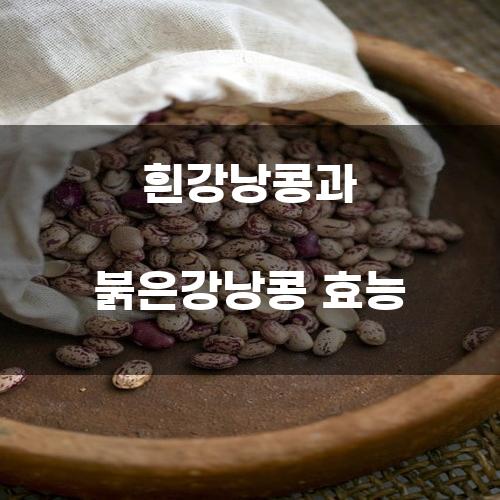 흰강낭콩과 붉은강낭콩 효능