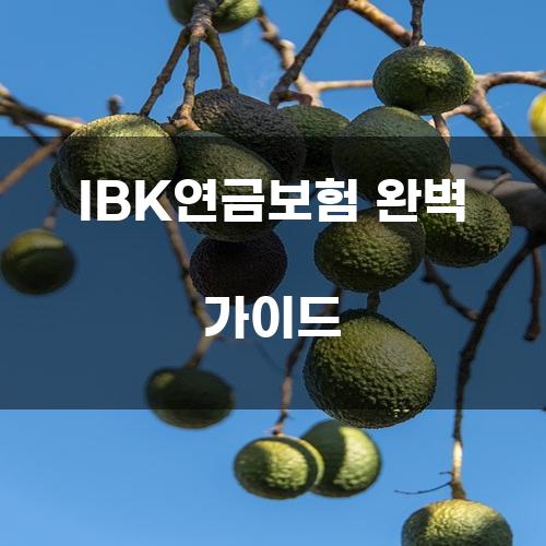 IBK연금보험 완벽 가이드