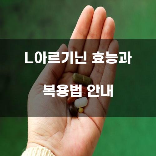 L아르기닌 효능과 복용법 안내