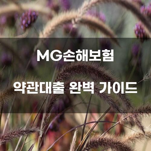 MG손해보험 약관대출 완벽 가이드