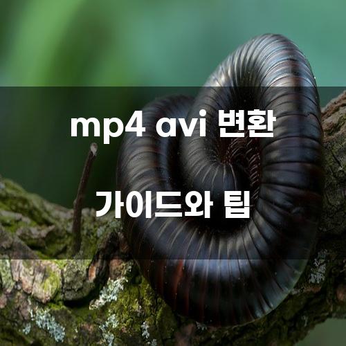 mp4 avi 변환 가이드와 팁