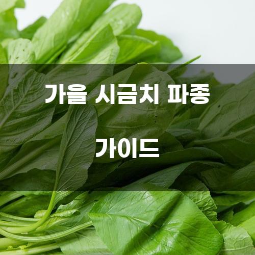 가을 시금치 파종 가이드