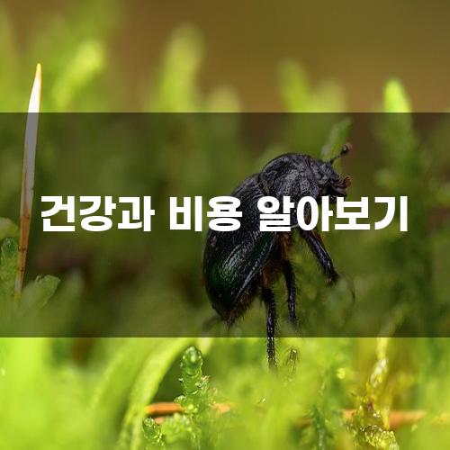 건강과 비용 알아보기