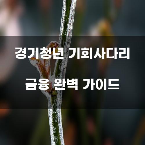 경기청년 기회사다리 금융 완벽 가이드
